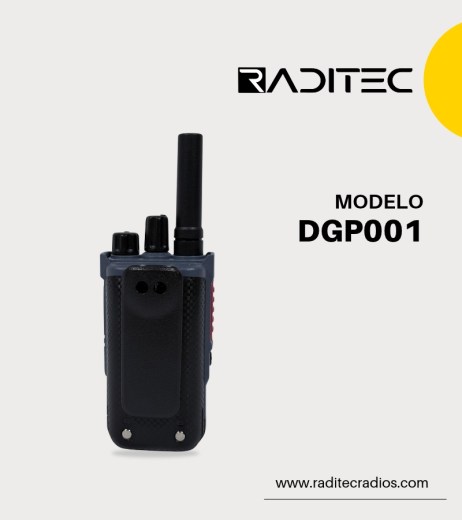 DGP001-2