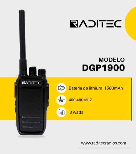 DGP1900