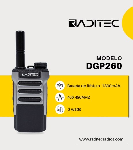 DGP260